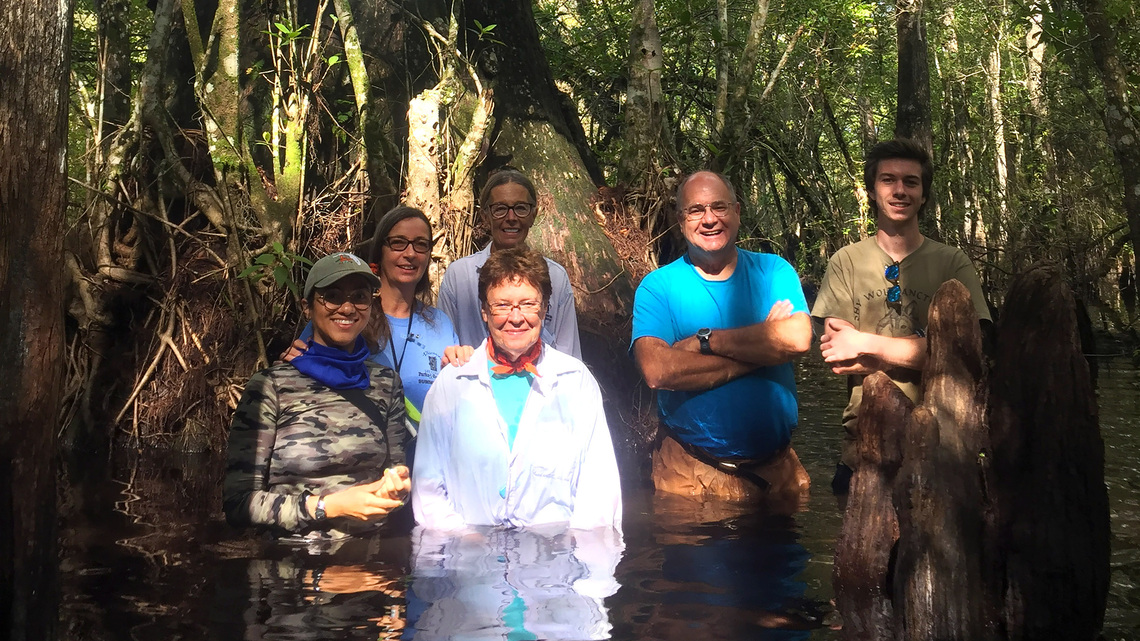 Immerse yourself in nature – Wet walks are back at the Six Mile Cypress Slough Preserve 