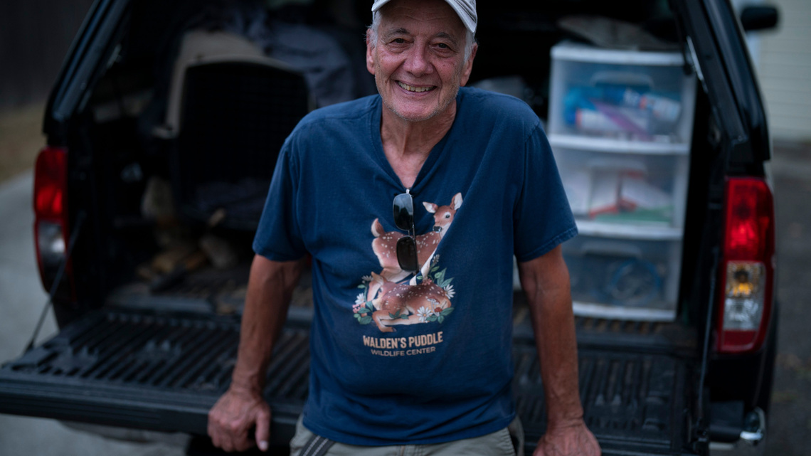 The fox whisperer? Meet the man saving Nashville's sick foxes