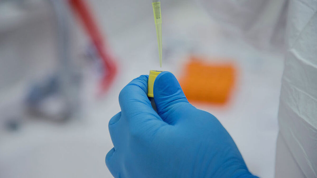 Microbiologist Ahmad Nazim Rashid uses a pipette to transfer liquid into a small laboratory tube at a laboratory in Bardarash, in Iraq's autonomous Kurdistan region, on June 4, 2026. Rashid says he graduated top of his microbiology class at the University of Duhok, completed a master's degree in biology at the University of Mosul and later pursued further microbiology studies at King Saud University in Riyadh. (Photo by Showan Sulaiman Ali / Middle East Images / AFP via Getty Images)