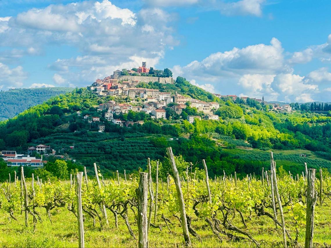 Forests around Motovu are known for their beauty and bounty. Photo credit: Barbara Redding