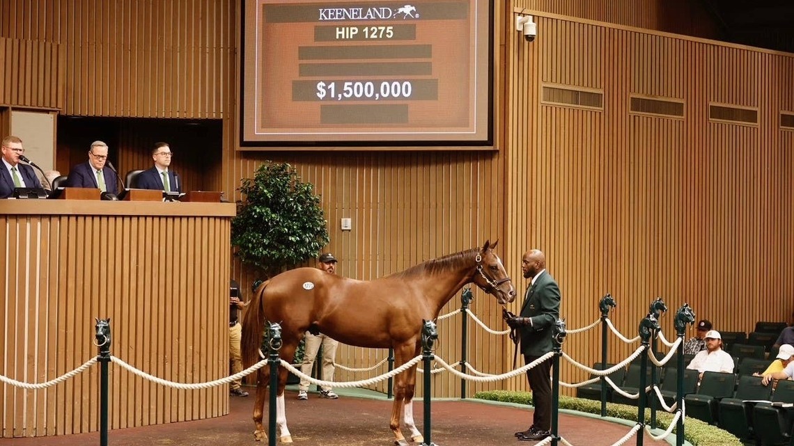 Keeneland September Posts Increases In Average, Median On First Day Of Book 3 