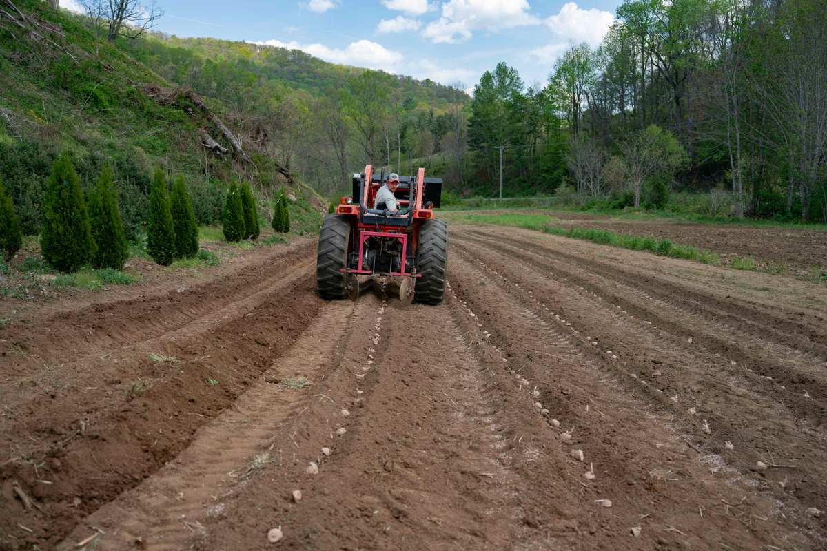  Paul Hodgson plants potatoes amid drought at Bluff View Farms on April 24, 2026 in West Jefferson, North Carolina. 