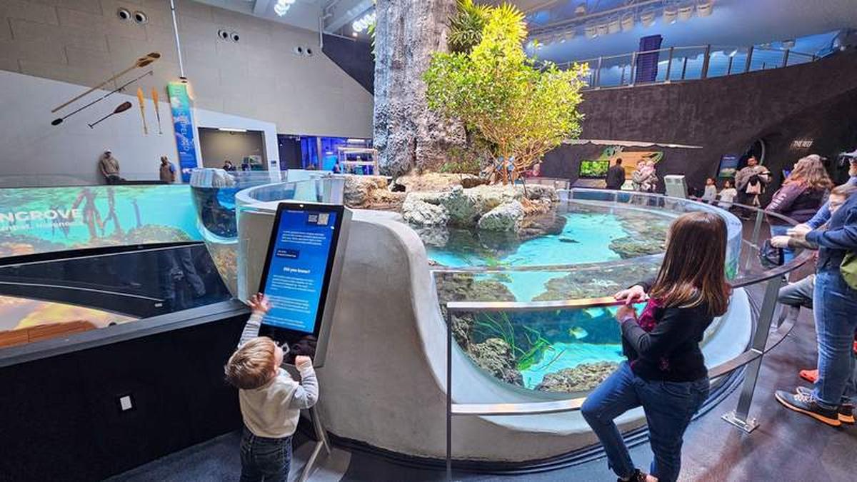  My kids interacting with the newly opened Ocean Pavilion at the Seattle Aquarium. Photo credit: Phylicia Stitzel 