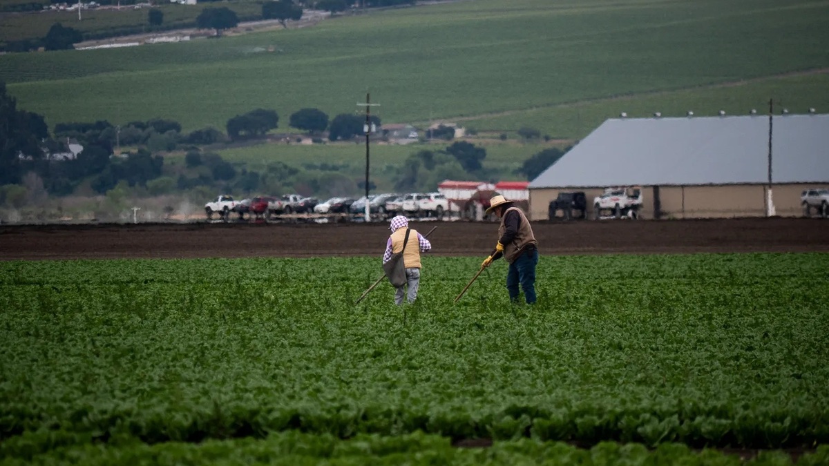 The County of Monterey's Community Climate Action and Adaptation Plan will balance the needs of agricultural and coastal areas. (Tess Kenny/Monterey Herald file)