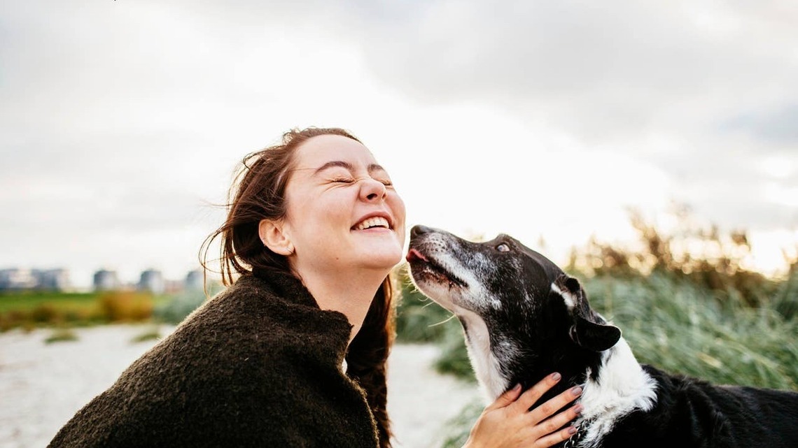 9 Signs Your Dog Prioritizes You Above Everyone Else, According to Trainers 