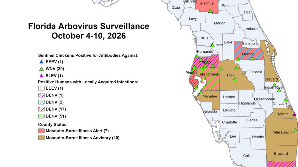 Florida dengue cases surge again, adding 72 in one week 