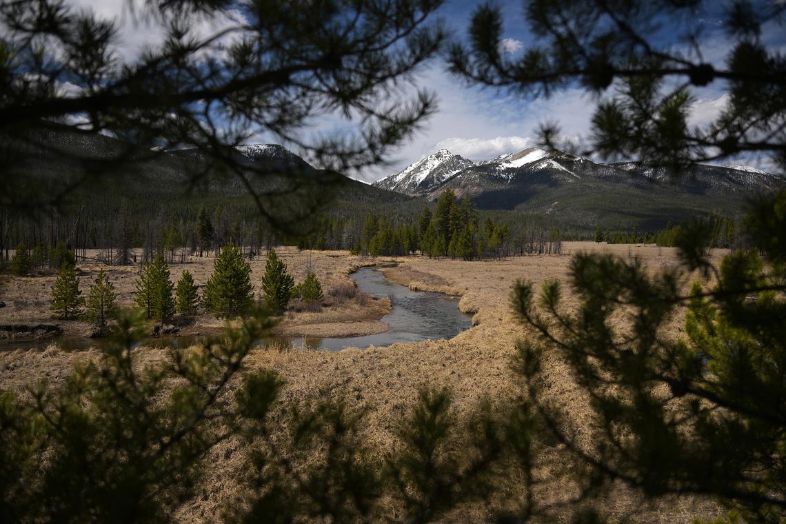 RJ Sangosti/The Denver Post/TNS