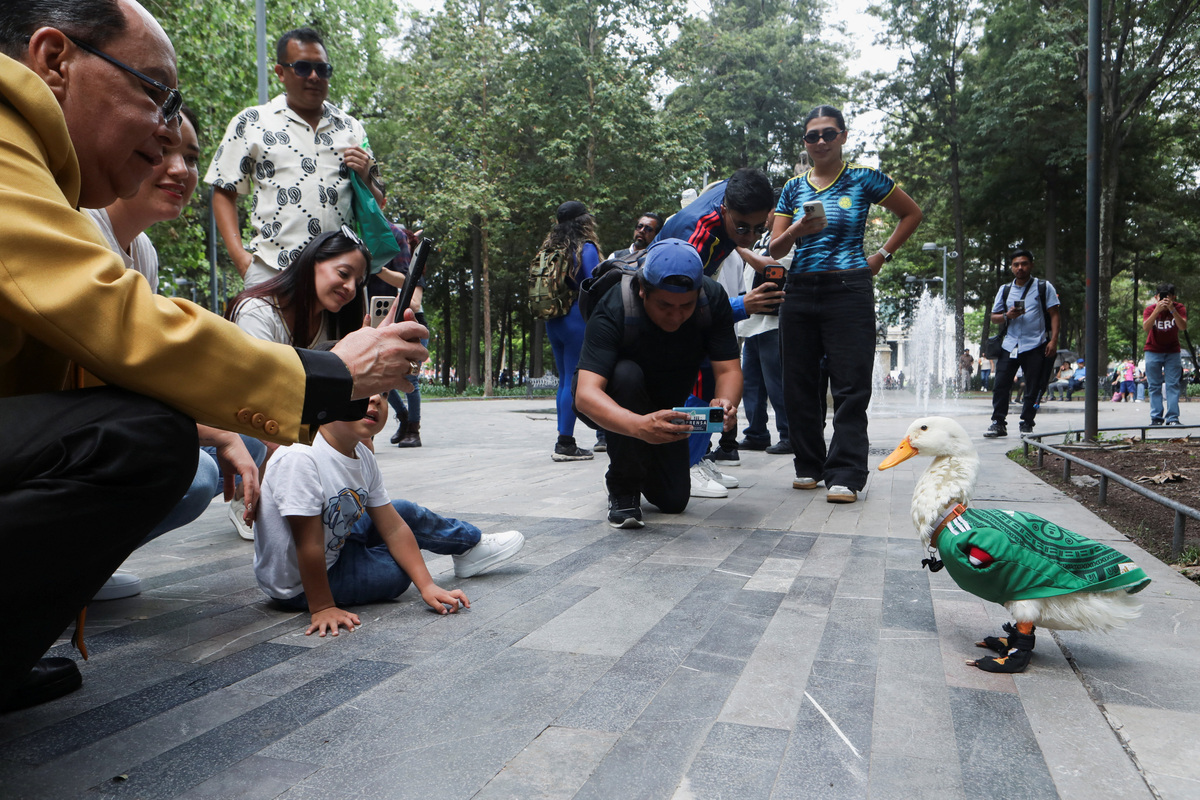 People use their phones to record Merlin, a duck, wearing a Mexico national football team ('El Tri') jersey that shot to fame after a chance encounter on Reforma Avenue went viral following the FIFA 2026 match between Mexico and South Africa, at Alameda Central in Mexico City, Mexico, June 16, 2026. REUTERS/Paola Garcia