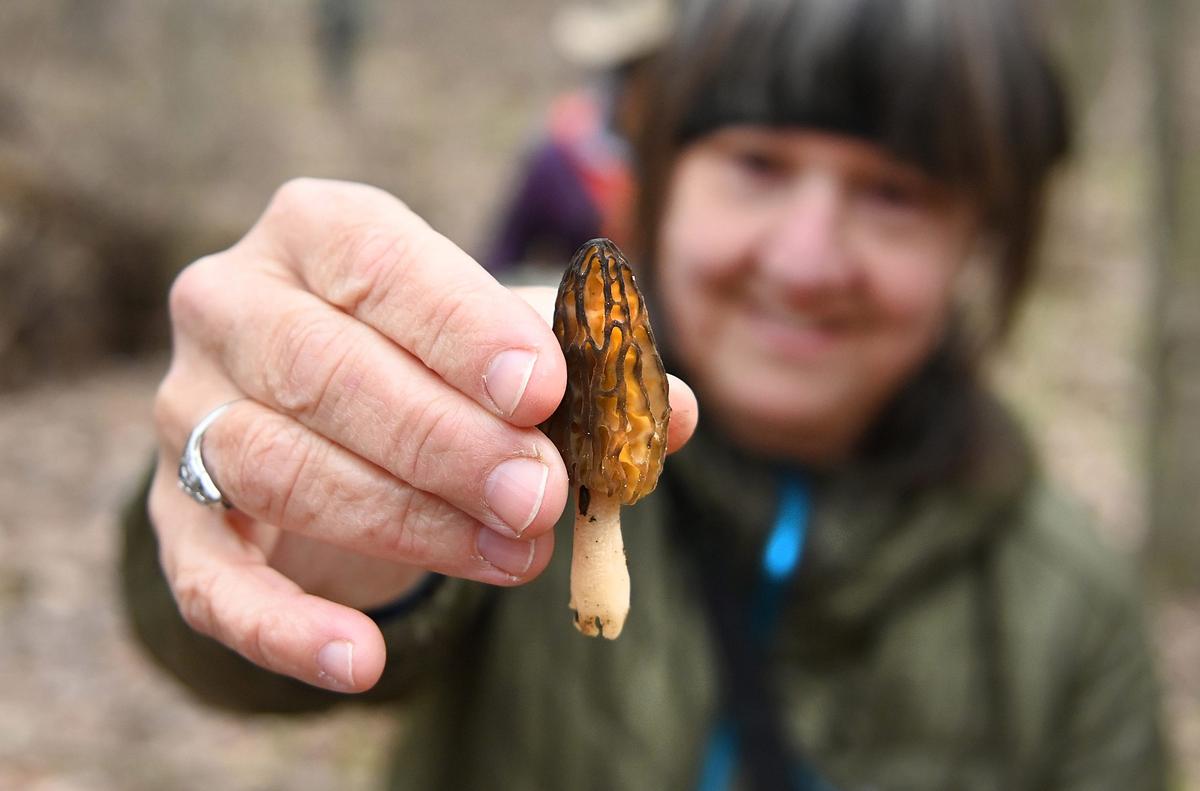 Max Ortiz/The Detroit News/TNS