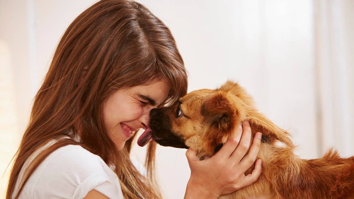 A dog expressng love by givng its dog dad a toy. 
