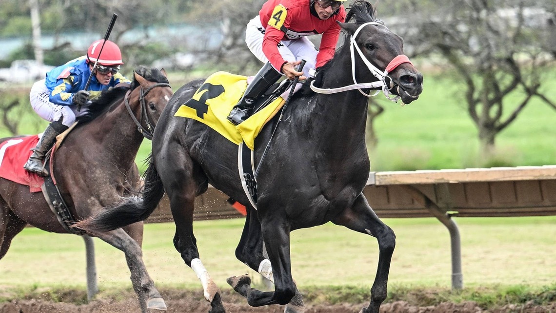 Aspirant Stakes Winner D I Wire Headlines New York Breeders' Futurity 