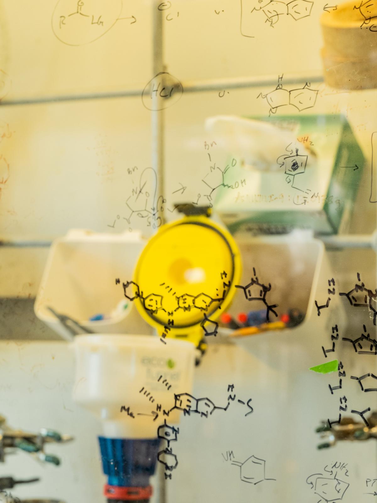 The laboratory of Kevan Shokat, a University of California, San Francisco researcher whose work helped spark an advance toward medicines that can target the KRAS cellular protein that fuels nearly all pancreatic tumors, on May 6, 2026. Shokat spent five years screening 500 molecules, until finally he found a crack in the KRAS protein into which one of his molecules wedged. It didn't become a drug, but it was the first sign that maybe naysayers were wrong to think the KRAS protein was "undruggable." (Kelsey McClellan/The New York Times)..