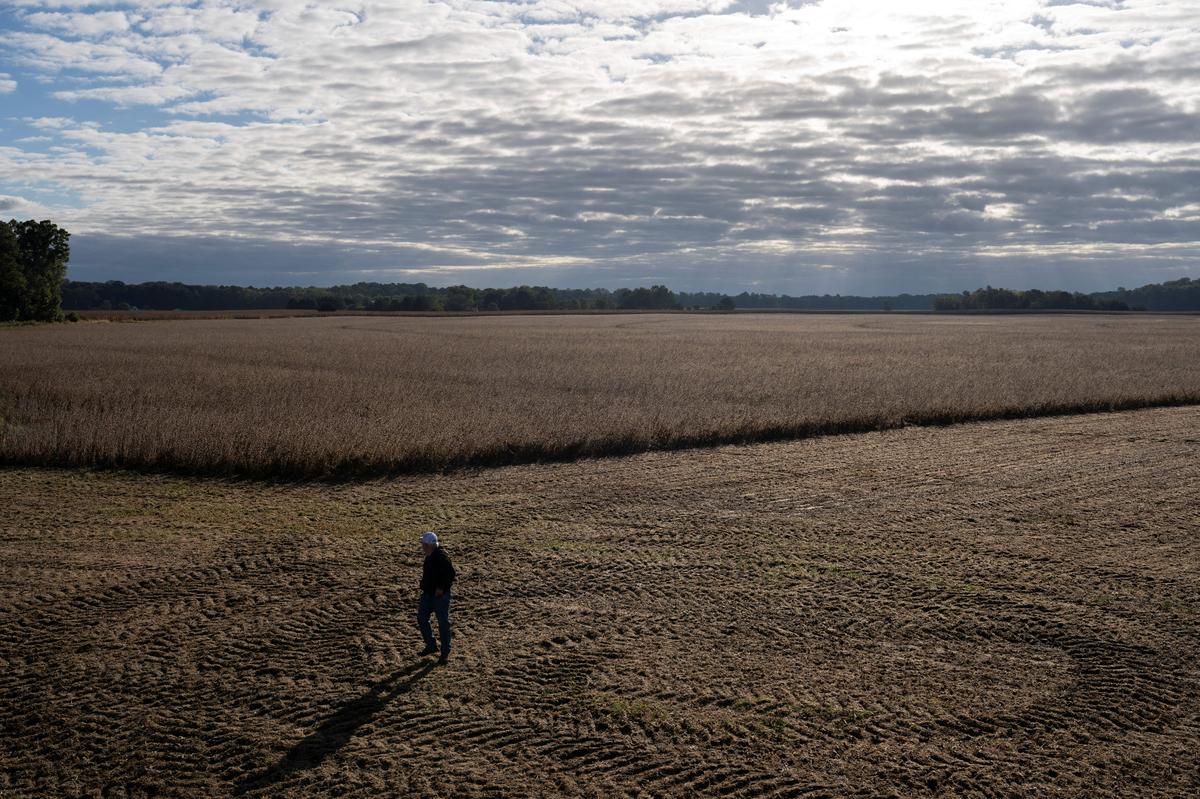  Farmer Travis Hutchison walks near a soybean field on one of his family’s farms in Cordova, Maryland, on October 10, 2025. 