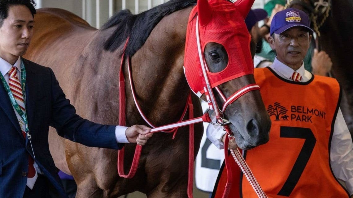 Forever Young Connections Shift Focus To Breeders' Cup 