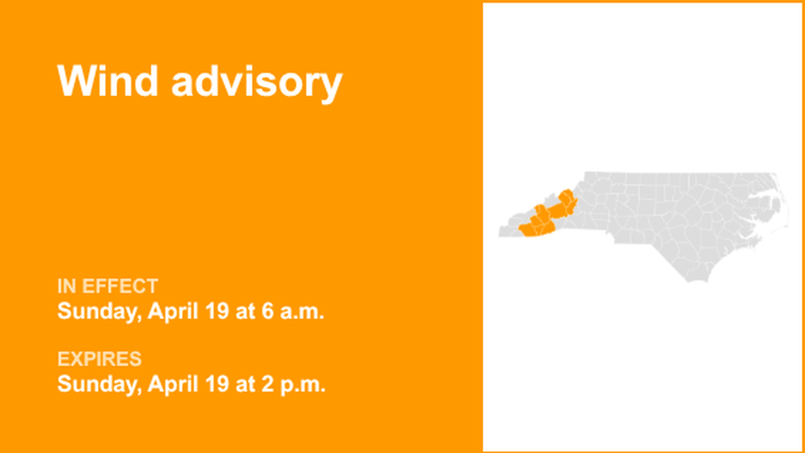 unitedrobots photography