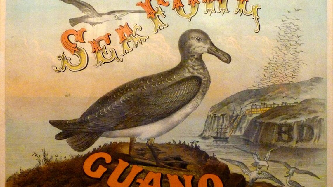 Bird droppings were a foundation of modern agriculture and American empire 