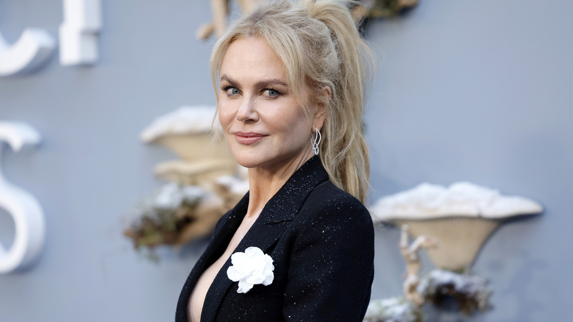 Love Nicole Kidman's $8,300 Bag? This Lookalike Is 99% Less 