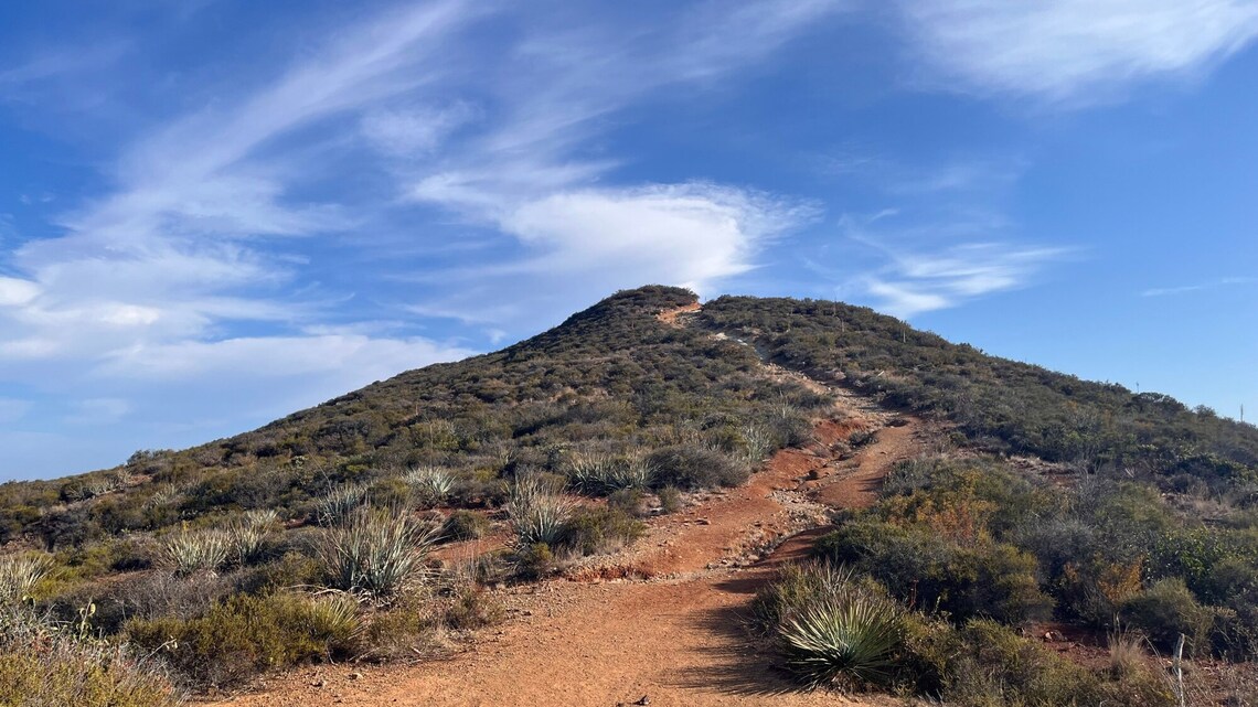 Trail Report: A love of local native plants goes a long way on a hike up McGinty Mountain 
