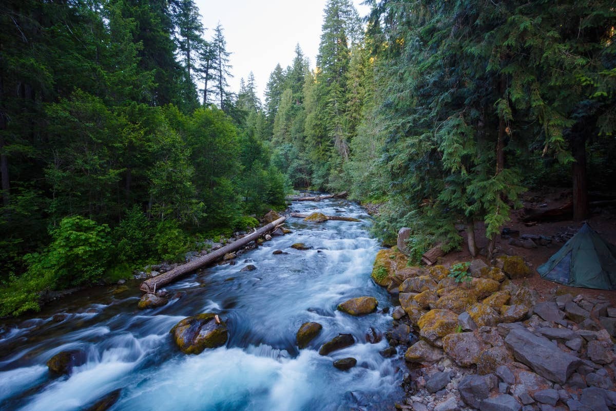  Umpqua River is a snake hotspot in Oregon.
