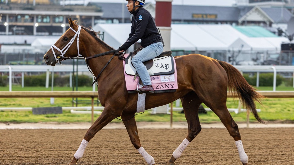 Trainer Todd Pletcher Hoping Zany Returns To Winning Form In Cotillion 