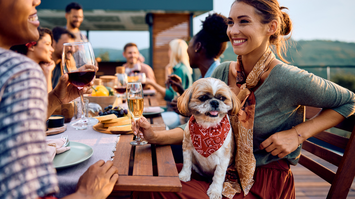 A stock image of a woman with her dog in her lap drinking wine and communicating with friends on a patio. 