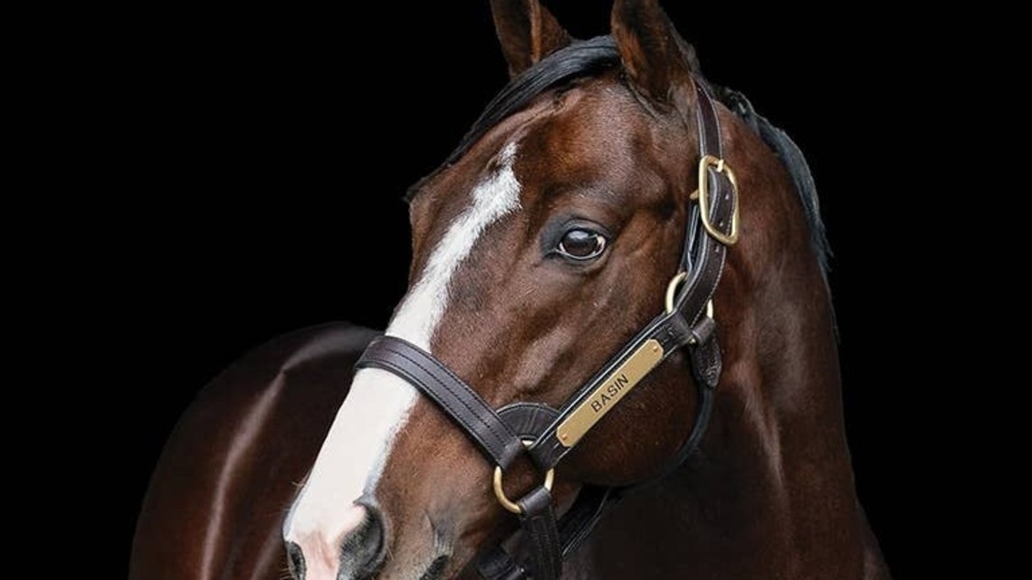 Basin Moves To Whispering Oaks Farm In Louisiana For 2027 