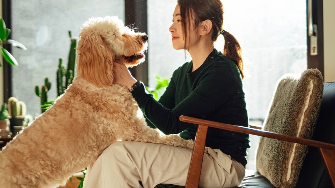 7 Things Your Dog Will Never Forget About You, According to a Trainer