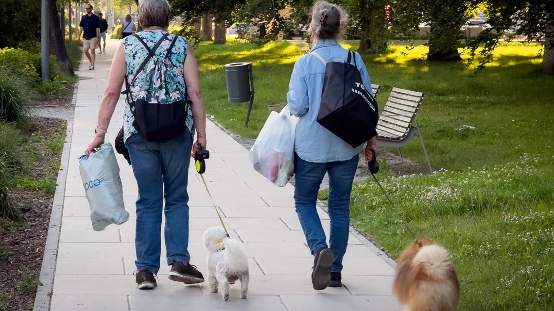 Rover and Redfin Just Ranked the Best U.S. Cities for Dog Walks-and the Results Are Surprising 
