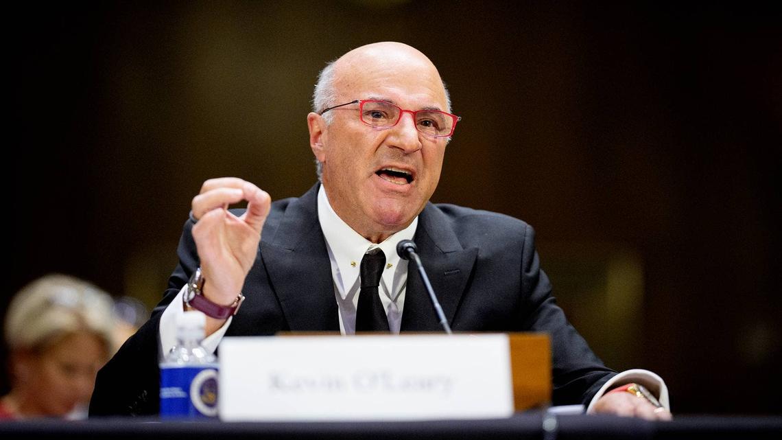 Kevin O'Leary reveals his unique investing formula 