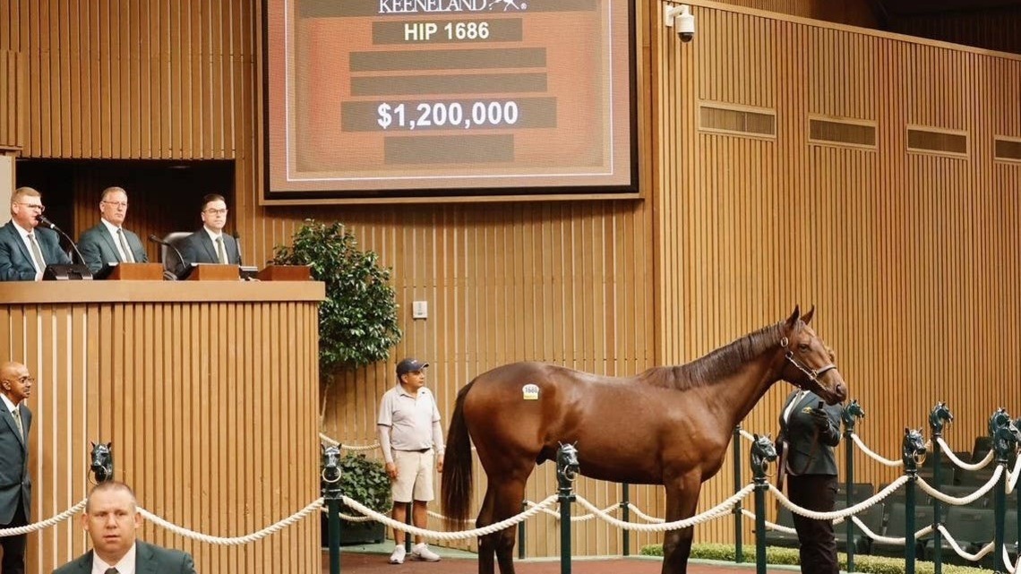 Nyquist Colt Tops Keeneland September Sixth Session At $1.2 Million