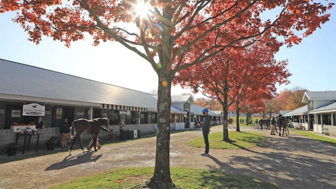 Five Horses Added To 2026 Keeneland November Sales 
