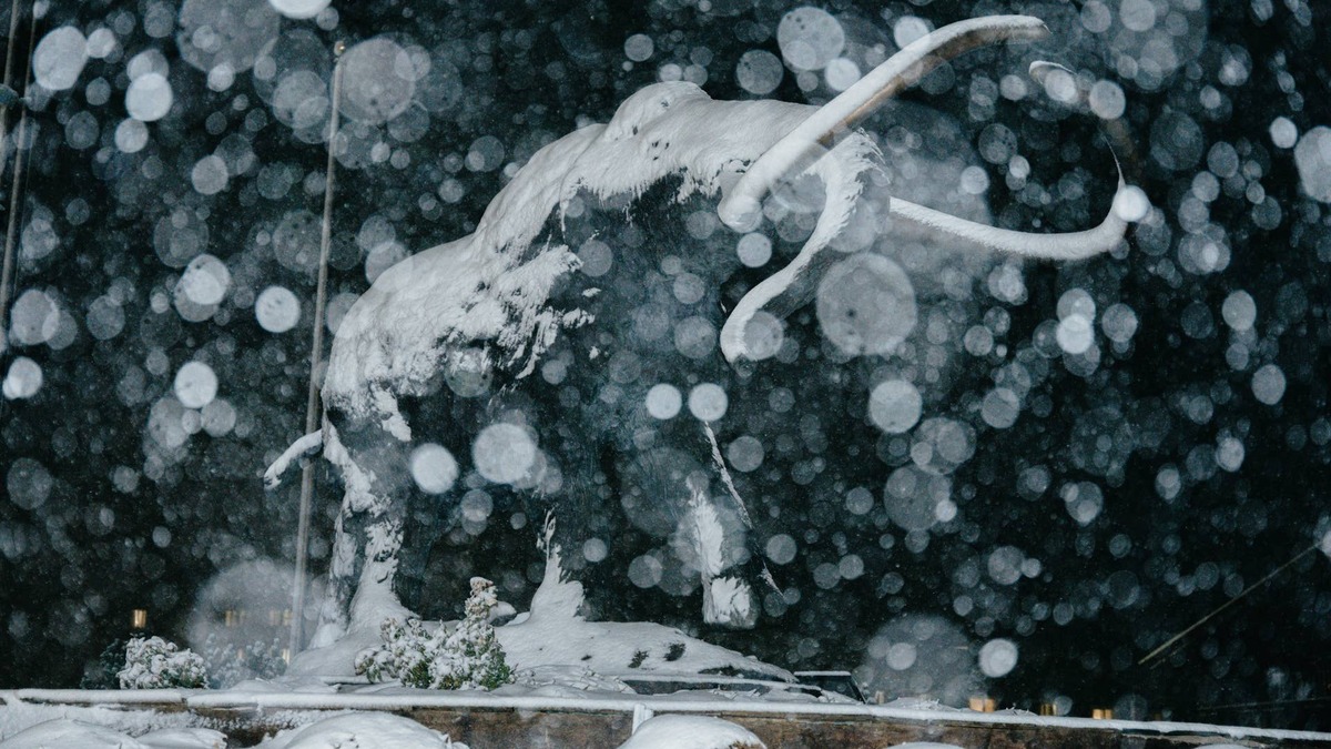 The Best Photos From Mammoth Mountain Ski Resort's October Snowstorm