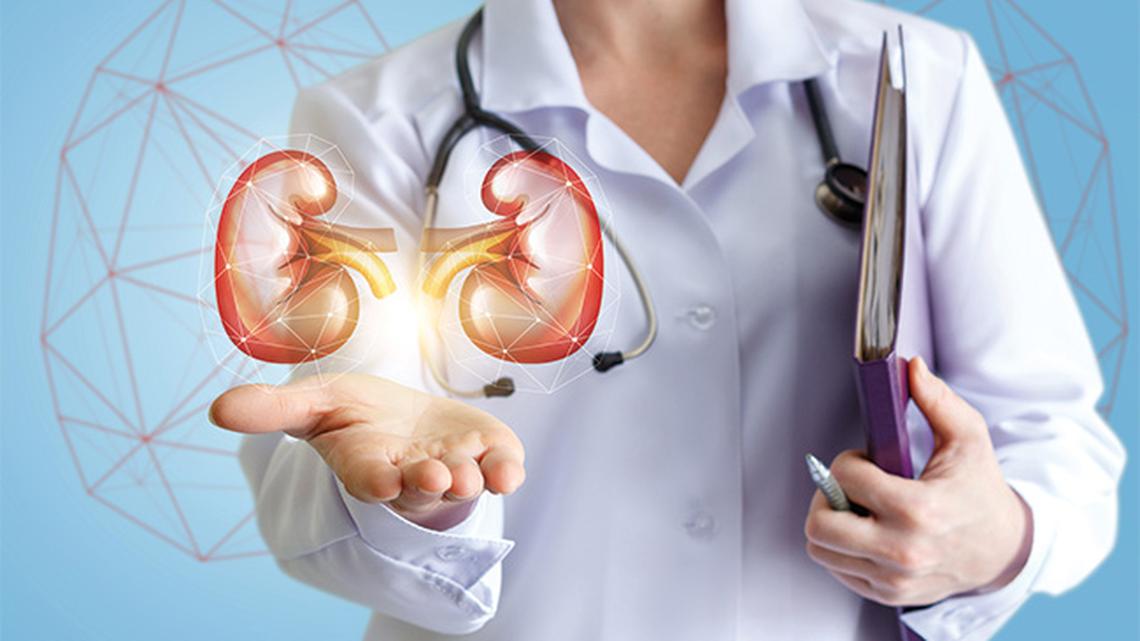 
        5 Rare Kidney Diseases You May Not Know About
       