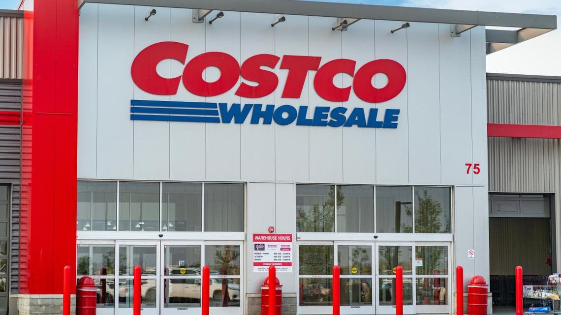 Costco Is Selling a Modern Cat Tree That Looks Like Real Furniture 