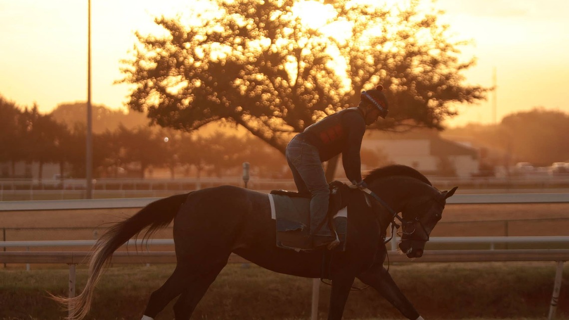 Light Up Racing Launches Free Online Welfare Communications Workshop 