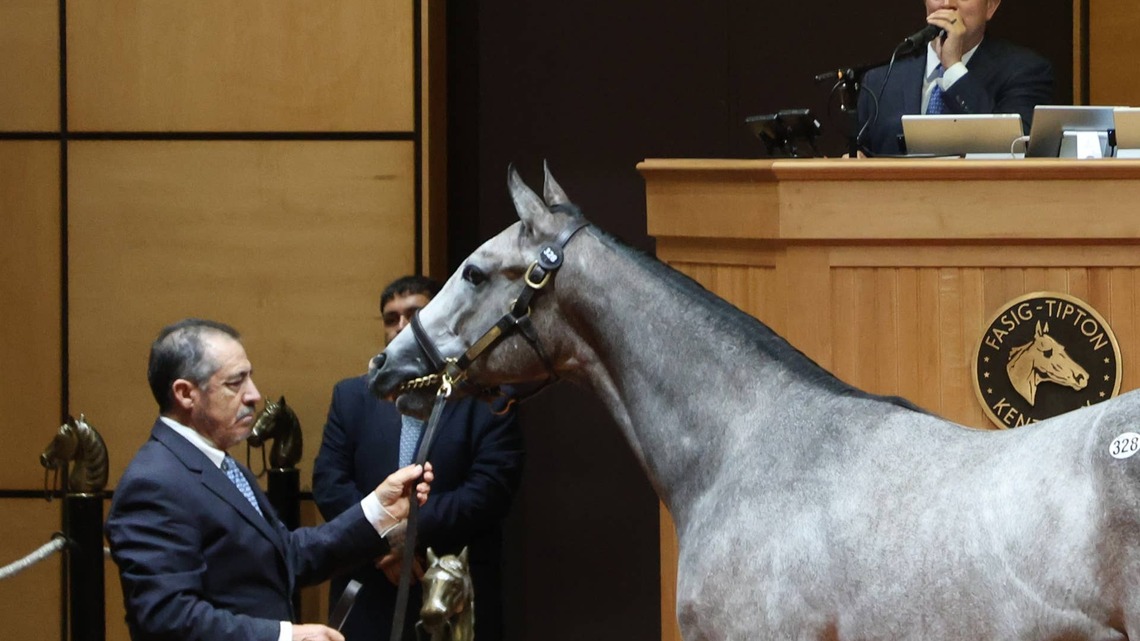 Constitution Colt Tops Opening Session Of Fasig-Tipton Kentucky October Yearling Sale 