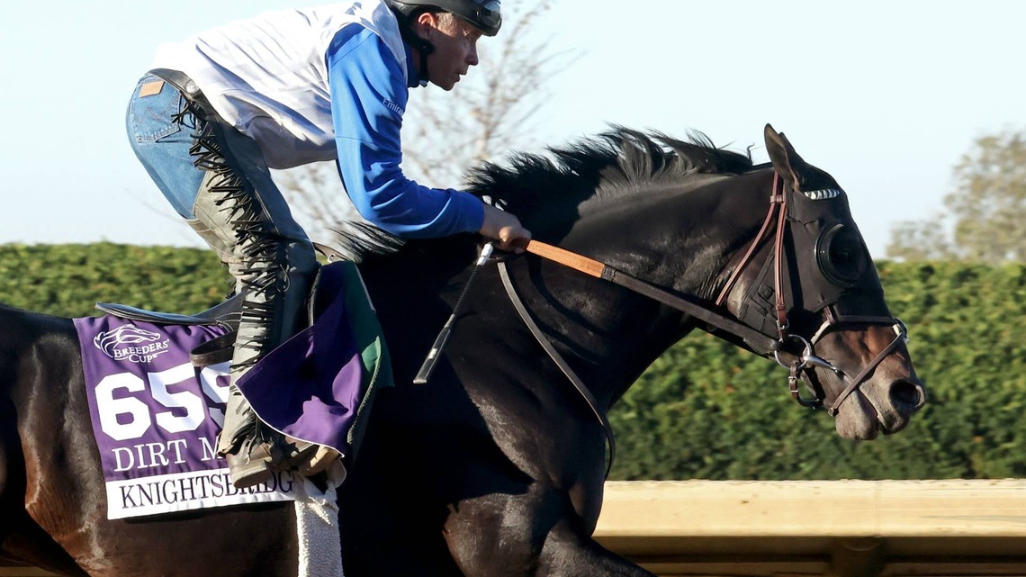 Breeders' Cup Notes: Decision Pending On Classic Or Dirt Mile For Knightsbridge 