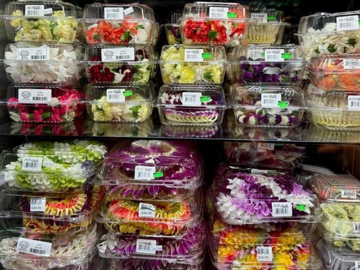  Les range in price from 14 to 40 dollars at Foodland Farms. Photo credit: L. Perry 