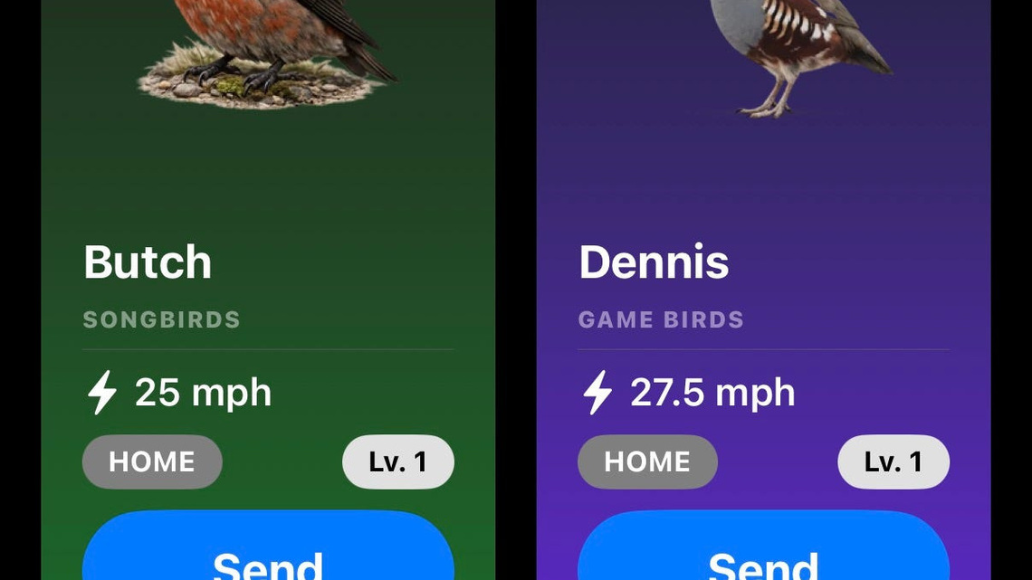 I sent friends messages via carrier pigeon. My Roost review