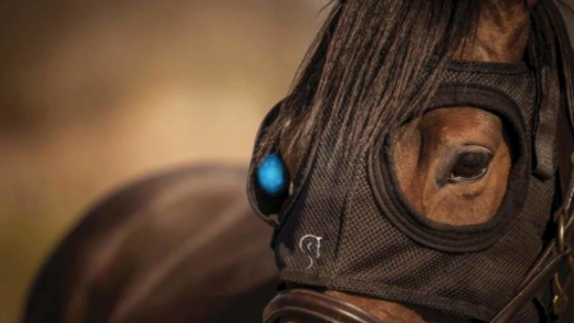 Watch: Equilume Co-Founder Discusses Equine Physiology On ‘The Boundless Podcast' 
