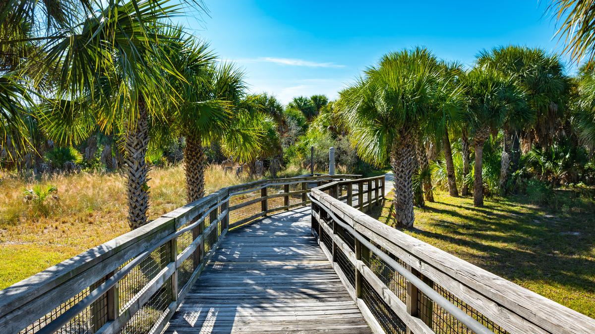 Spending time in nature can reduce stress, improve mental health and encourage physical activity.