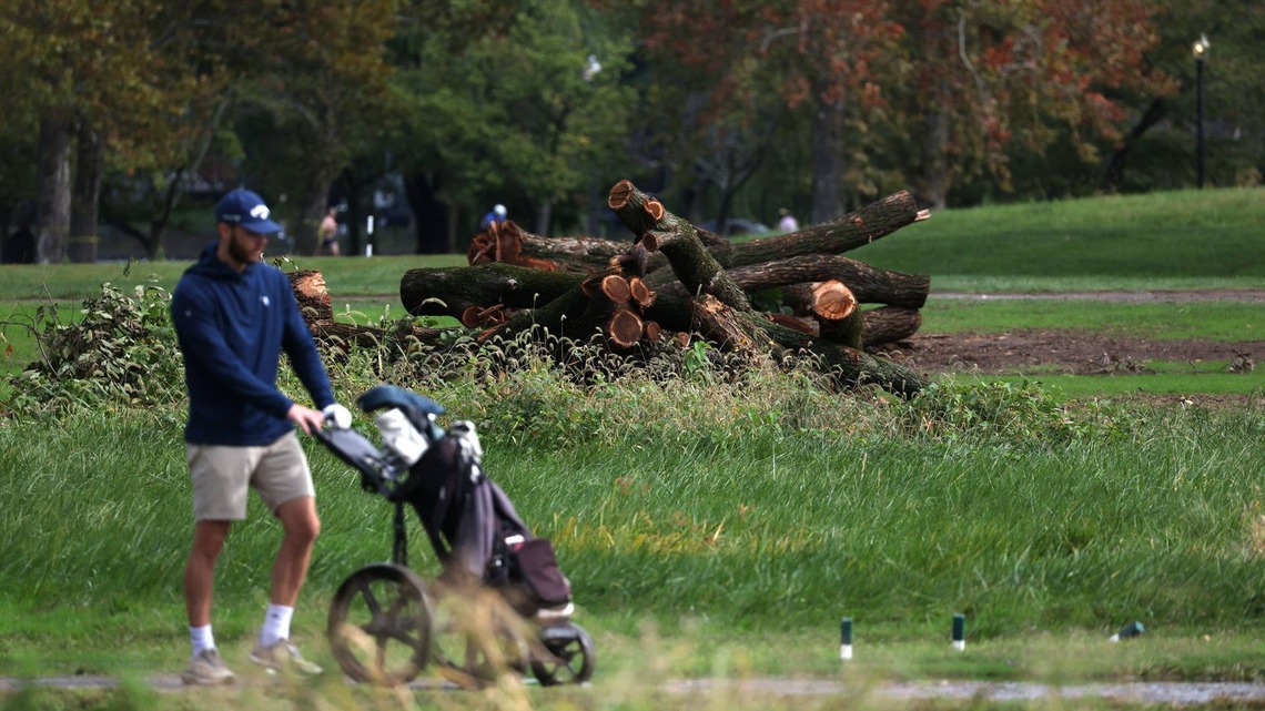 East Potomac Judge Says Government Lost Credibility After Tree Cutting