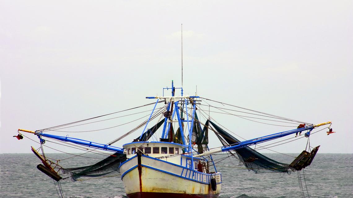 Earth Talk: Shrimp fraud 