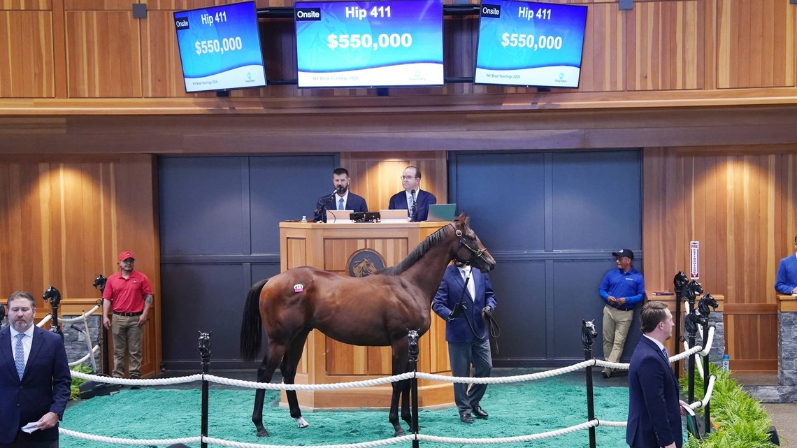 Life Is Good Colt Tops Record Renewal Of Fasig-Tipton New York Bred Yearling Sale 