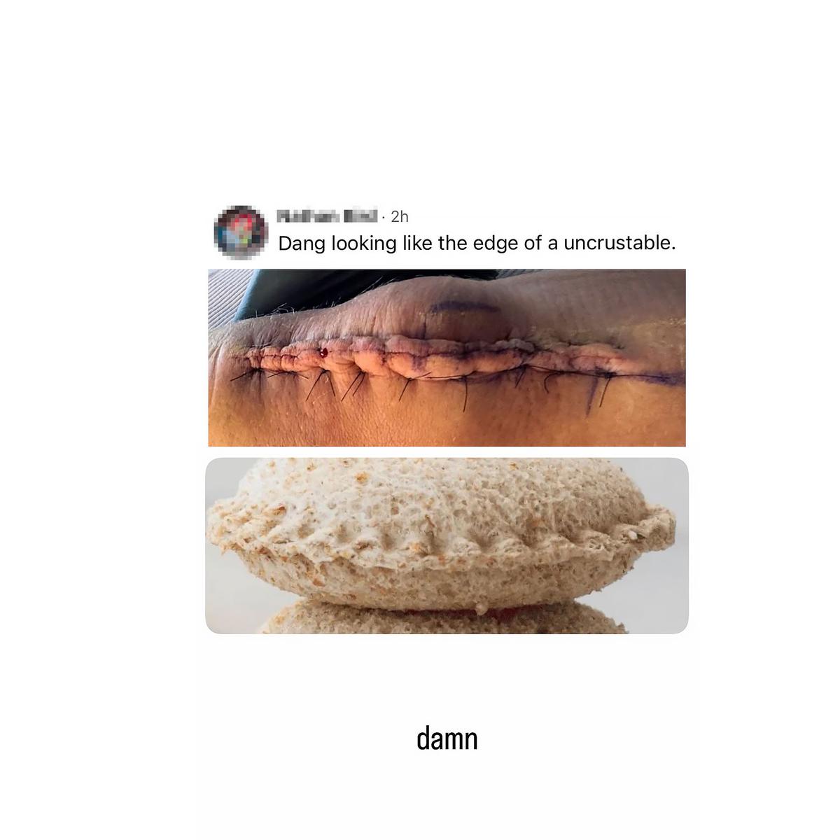  Courtesy of Logan Paul/Instagram 