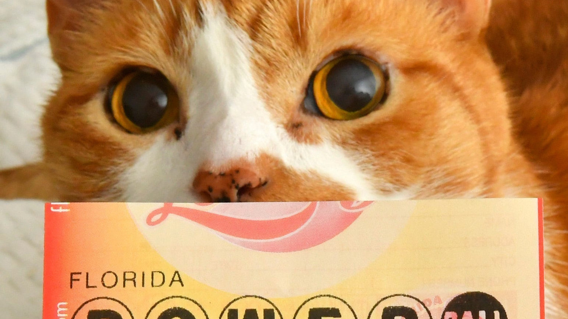 Powerball numbers drawn: Did anyone win $674 million? 