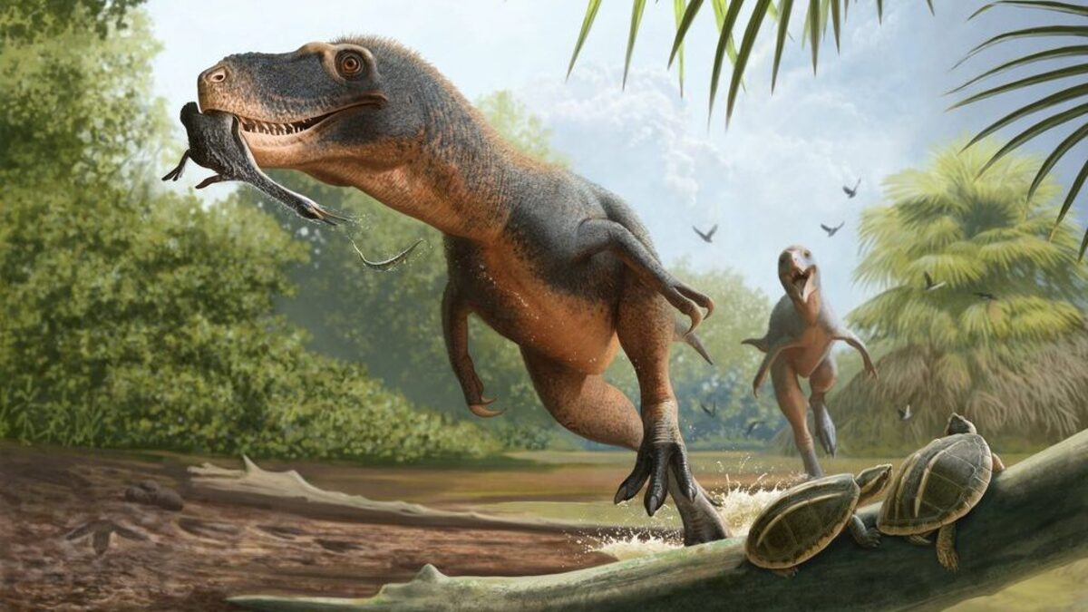 Why did birds survive when dinos didn't? Poop may reveal answer