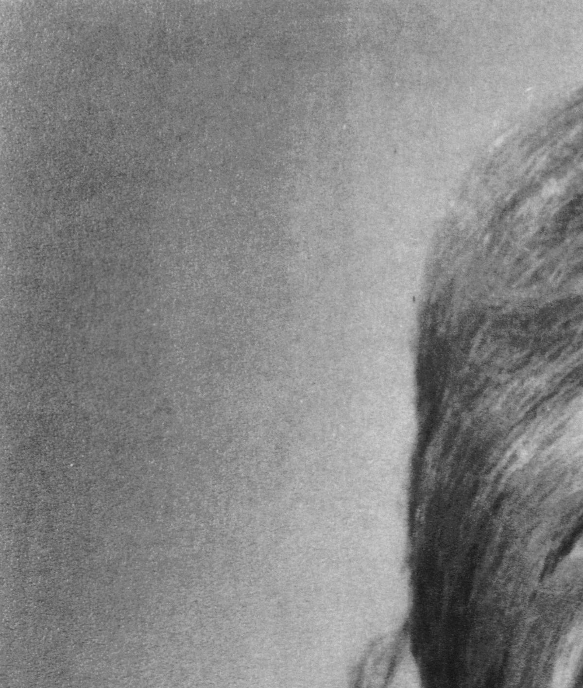 Country singer Dolly Parton poses for a portrait in 1965 in Nashville, Tennessee.Michael Ochs Archives / Stringer