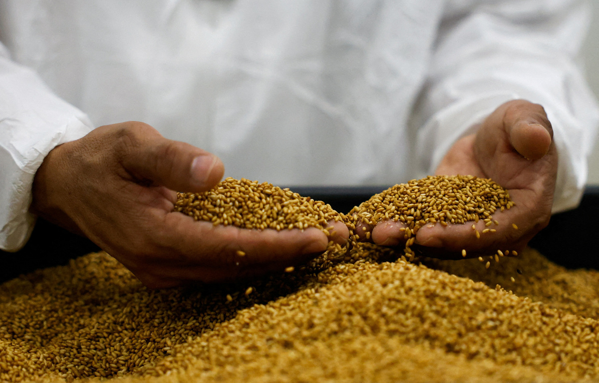 FILE PHOTO: A biologist holds Mediterranean fruit fly eggs at a bio-factory as Mexico's government reconditions a plant to become the new sterile screwworm fly facility, part of the country's effort to eradicate the flesh-eating parasite that threatens its livestock industry and raises tensions with the United States, in Metapa de Dominguez, Mexico, October 17, 2025. REUTERS/Daniel Becerril/File Photo