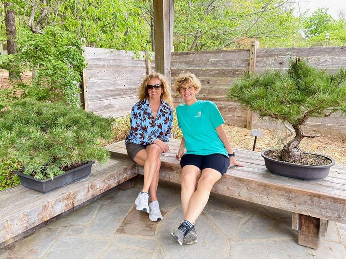 Finding zen: The beautifully manicured Japanese Garden is just one of the twelve themed spaces to explore at the Botanical Garden of the Ozarks. Photo credit: Staff member at the Botanical Garden of the Ozarks 